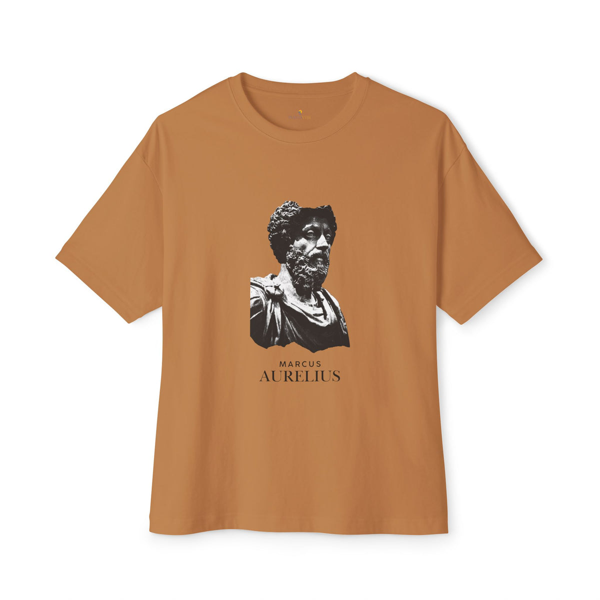 Marcus Aurelius T-Shirt